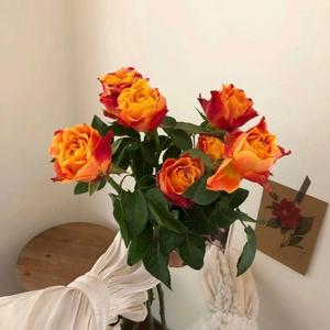 【FREE】'' 无 尽 缠 绵 ''