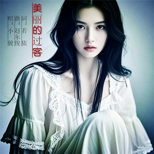 美丽的过客