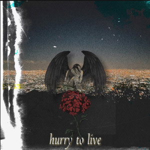 hurry to live