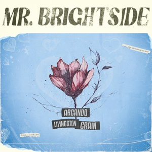 Mr. Brightside (Arcando Remix)