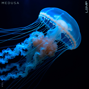 Chibi (Original Mix)