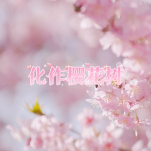 化作樱花树（翻自：AKB48）