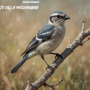 To kill a mockingbird