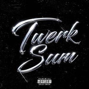 Twerk Sum