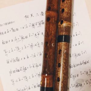 【洞箫】风中月（醉红颜）