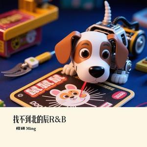 找不到北的辰 R&B