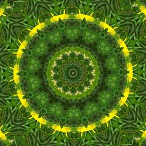 Anicca, Dukkha, Anatta