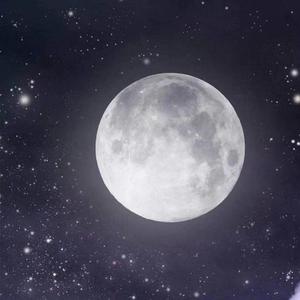 冷血翻自(BrAnTB小白/Kyra Z)