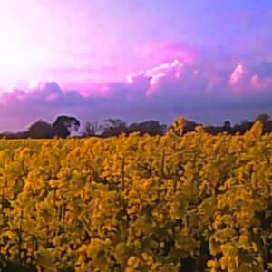 一步三回頭，此堪何以忘？