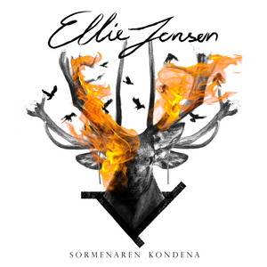 Eguzkiari (Denok hilko gaitu)