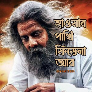 হাওয়ার পাখি