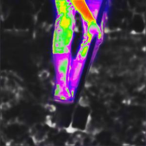 Dig (feat. Mogli the Iceburg) (thermal.wav version)