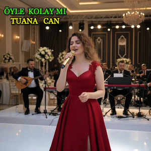 Zülüfünü Taramadım (Yeni Kapıda Atlılar)