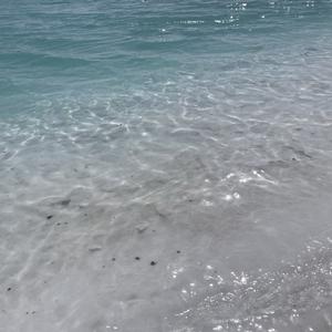 【Ai澄野拓海】プロポーズ (求婚)