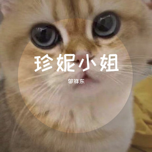 珍妮小姐