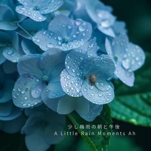 紫陽花とかたつむり、まだ動かない朝 – still rain-ah