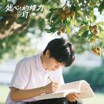 处心积虑的巧合 - 見鹿 专辑封面