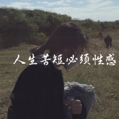 叫一声我的好兄弟 (DJ版)