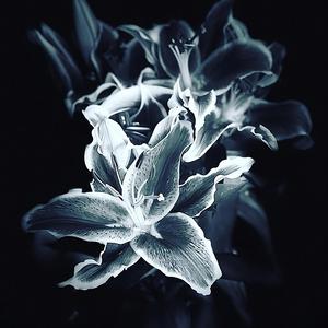 Fuera Del Planeta (Instrumental)