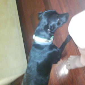 nuts (feat. Lil Hurty Head, Yung Lump & Lil Nutter Butter)