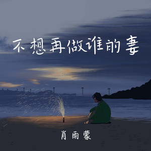 不想再做谁的妻