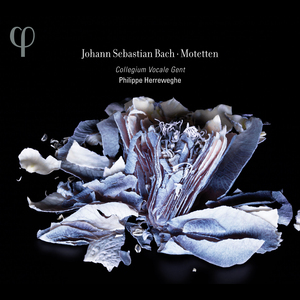 Fürchte dich nicht, ich bin bei dir, BWV 228