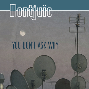 You Don't Ask Why (Hans Nieswandt Remix)