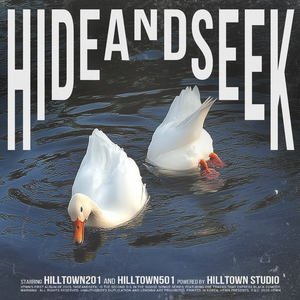 hideandseek