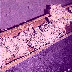 Flicka' Da' Wrist (Remix)