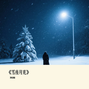 《雪夜月光》