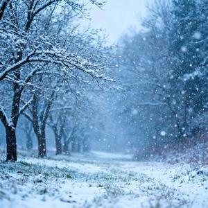 在落雪时分 (Cover 青一色)