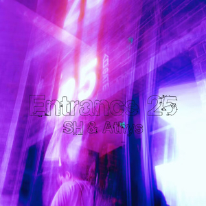 Heat Waves(SH & 穹尘athys remix)