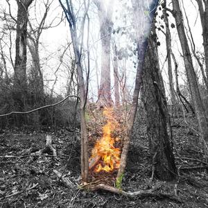 Nihilistic Tendencies