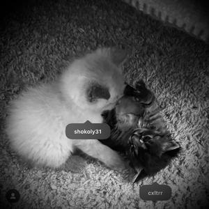 tell me after (feat. crusey)