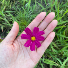 其实女人的心最容易懂