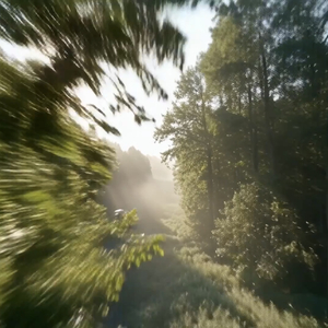 倾听夏天的脚步