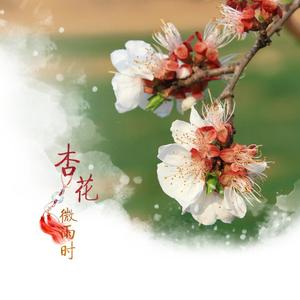 杏花微雨时