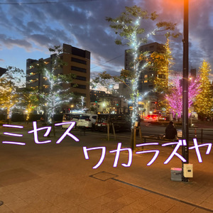 ミセス ワカラズヤ