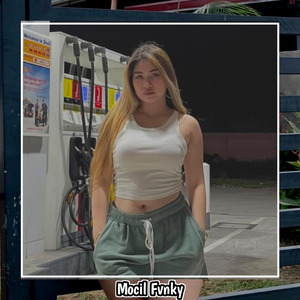 MELODI GEOL GEOL (1)