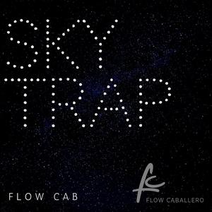 Sky Trap