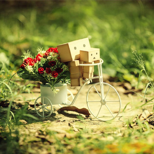 一样的月光 (治愈八音盒)