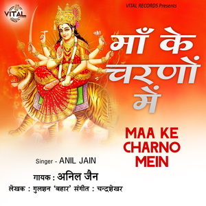 Tum Durga Aad Bhawani Ho