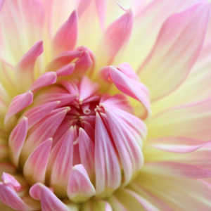 思い出のワルツ