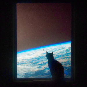 前前前世 - 你的名字 - 钢琴版 - Animenzzz