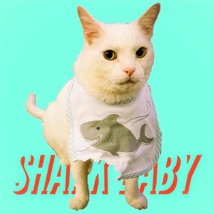 Shark Baby