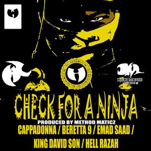 Check for a Ninja (feat. Cappadonna, Hell Razah, King David Son & Beretta 9)