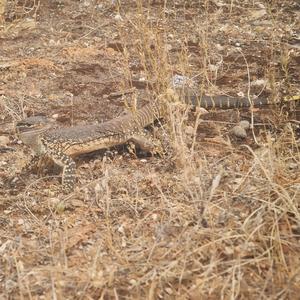 Take Me Back To The Good Old Days