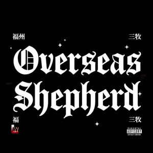 孤独生活方式 Lonely Lifestyle