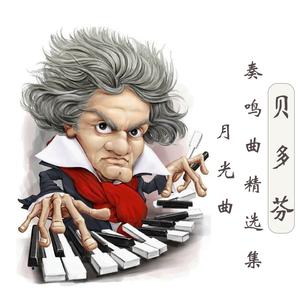 贝多芬 月光曲（沉浸无损钢琴）