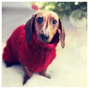 He Is Born, the Divine Child